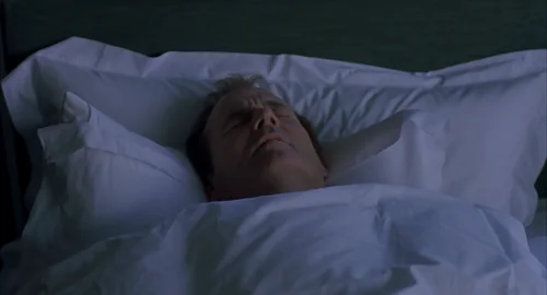 lost_in_translation_frame_294.webp