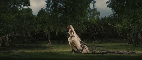 melancholia_frame_1738861739.2501163.webp