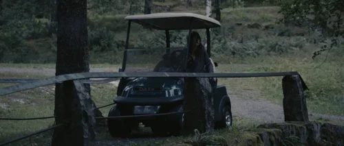 melancholia_frame_1738861764.7857037.webp