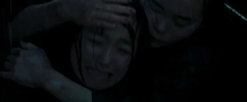 memoirs_of_a_geisha_frame_1738843772.7692347.webp