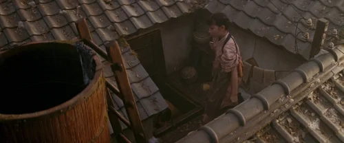 memoirs_of_a_geisha_frame_1738843779.9265301.webp