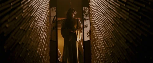 memoirs_of_a_geisha_frame_1738843790.236382.webp
