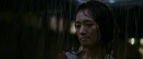 memoirs_of_a_geisha_frame_1738843796.978784.webp