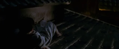 memoirs_of_a_geisha_frame_1738843798.3053107.webp