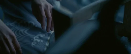 memoirs_of_a_geisha_frame_1738843816.6030974.webp