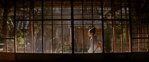 memoirs_of_a_geisha_frame_1738843846.201626.webp