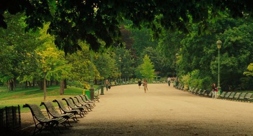 midnight_in_paris_frame_1739128922.0290542.jpg