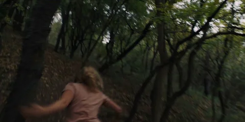 midsommar_frame_1738859282.6508687.webp