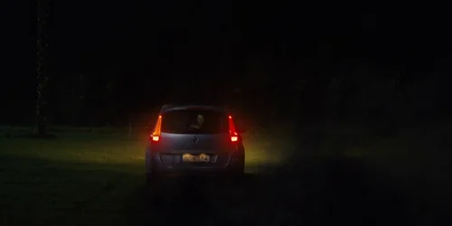 midsommar_frame_1738859294.445923.webp