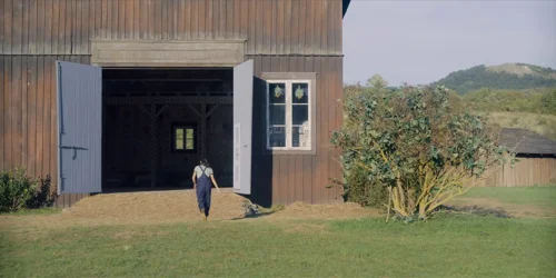 midsommar_frame_1738859295.884261.webp