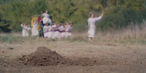 midsommar_frame_1738859305.7930446.webp