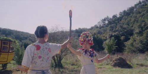 midsommar_frame_1738859305.9867797.webp