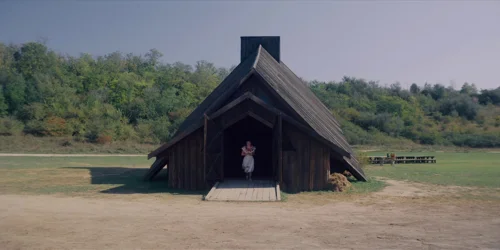 midsommar_frame_1738859307.6288383.webp