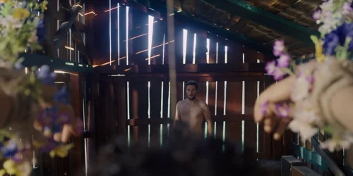 midsommar_frame_1738859308.7401905.webp