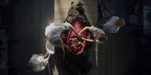 midsommar_frame_1738859311.697456.webp
