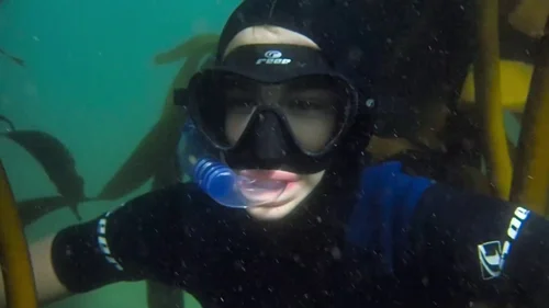 my_octopus_teacher_frame_1749598611.097288.webp