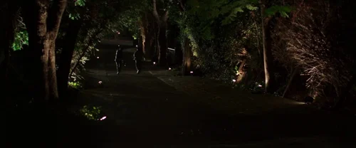 nightcrawler_frame_1738861483.934613.webp