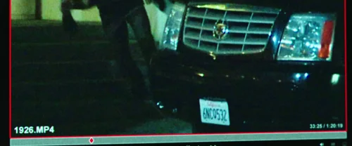 nightcrawler_frame_1738861490.1853635.webp