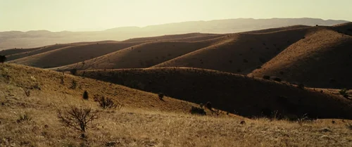 no_country_for_old_men_frames_frame_5.webp