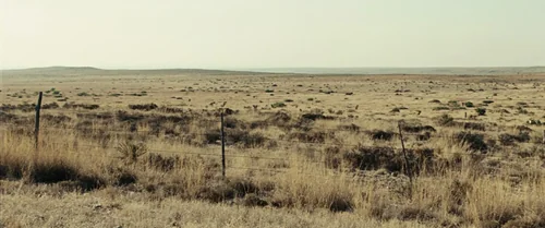 no_country_for_old_men_frames_frame_6.webp