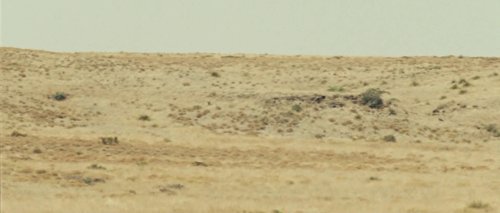 no_country_for_old_men_frame_1739051956.2327209.jpg