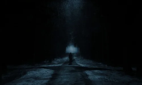 nosferatu_frame_1738661714.690278.webp