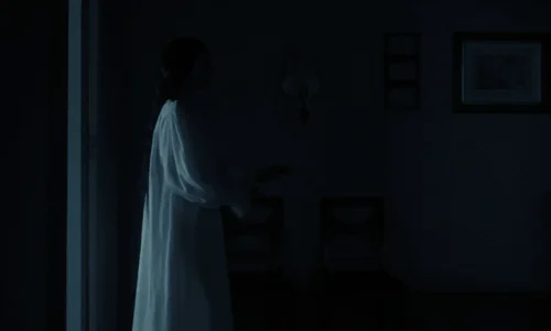 nosferatu_frame_1738661726.3764768.webp