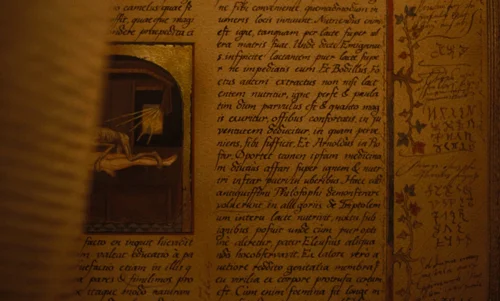 nosferatu_frame_1738661758.3464618.webp