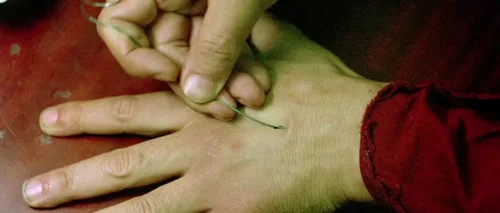 oldboy_frame_1739051804.9272075.webp