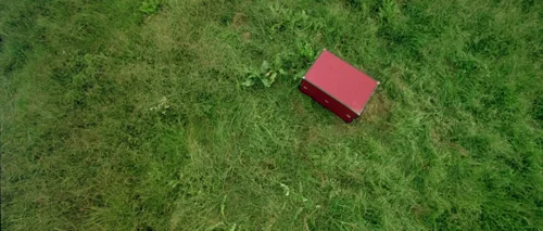 oldboy_frame_1739051806.1310909.webp