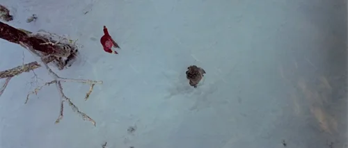 oldboy_frame_1739051831.8928852.webp
