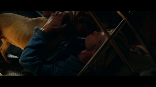 once_upon_a_time..._in_hollywood_frame_1738666240.102453.jpg