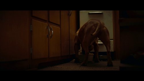 once_upon_a_time..._in_hollywood_frame_1738666240.8426807.jpg
