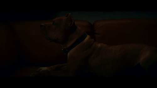 once_upon_a_time..._in_hollywood_frame_1738666278.2593286.jpg
