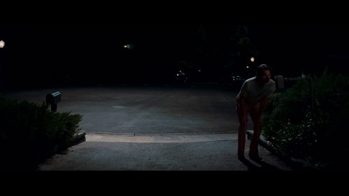 once_upon_a_time..._in_hollywood_frame_1738666282.0687387.jpg