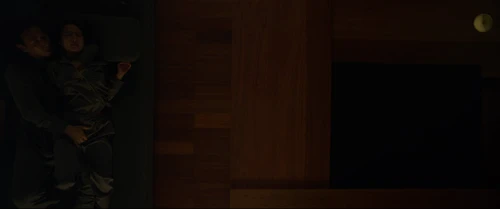 parasite_frames_frame_302.webp