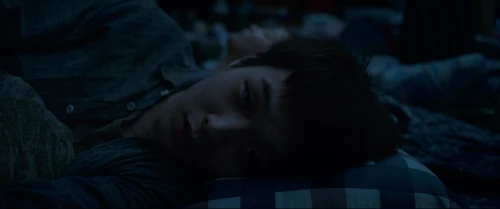 parasite_frames_frame_338.webp