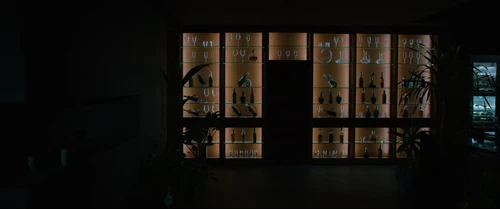 parasite_frames_frame_412.webp