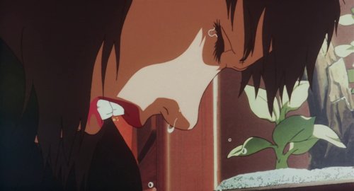 perfect_blue_frame_1749599431.8894134.jpg