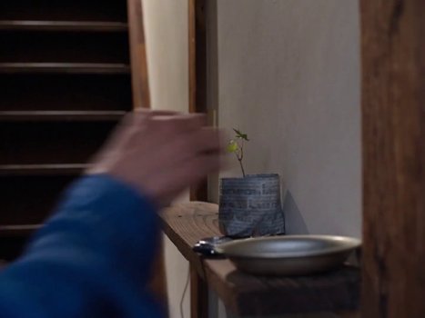 perfect_days_frame_1748954199.9731307.jpg