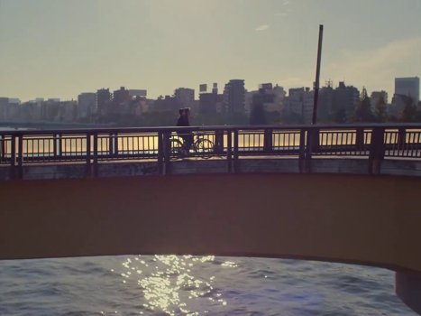 perfect_days_frame_1748954217.5951006.jpg