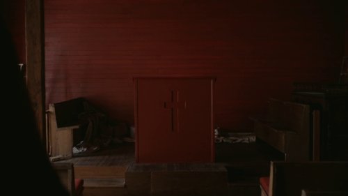 reptile_frame_1749600124.7396643.jpg