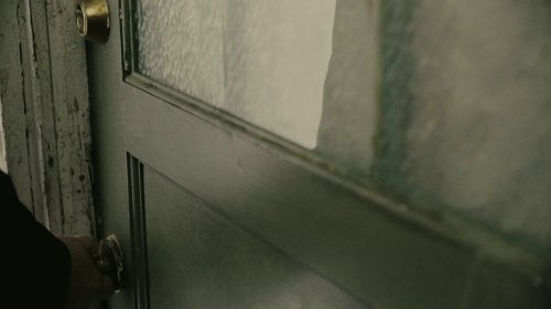 reptile_frame_1749600139.7757099.jpg