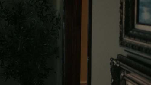 reptile_frame_1749600145.641113.jpg