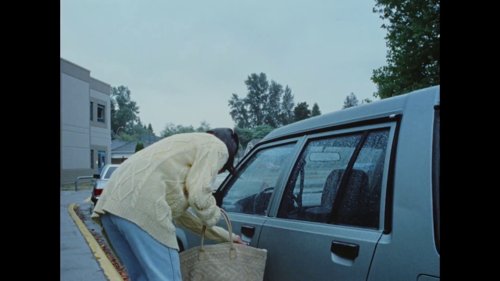 riceboy_sleeps_frame_1748471987.9352176.jpg