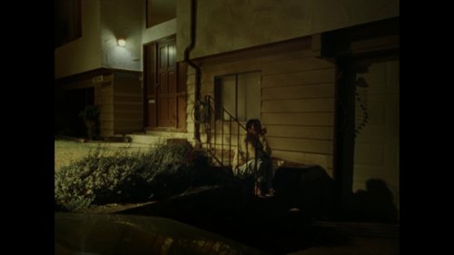 riceboy_sleeps_frame_1748471991.3999417.jpg