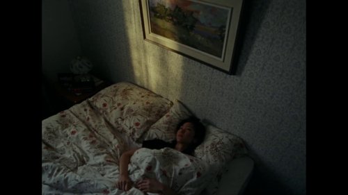 riceboy_sleeps_frame_1748472004.8785164.jpg