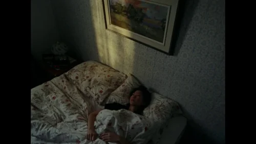 riceboy_sleeps_frame_1748472004.8785164.webp