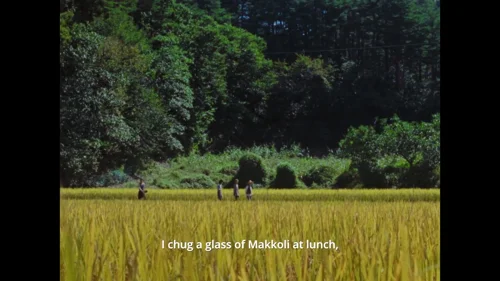 riceboy_sleeps_frame_1748472015.897654.webp