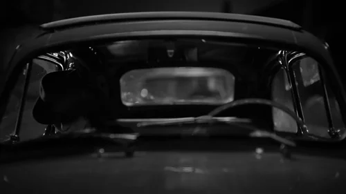 ripley_frame_1738695007.2332833.webp